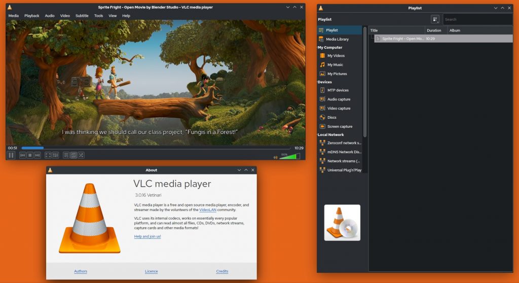 VLC  media player  interface preview